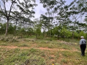 Awesome property formland